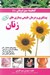 تصویر  پيشگيري و درمان طبيعي بيماري هاي زنان / گنجينه سبز درمان 1