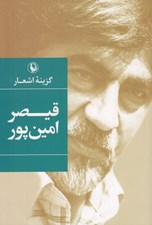 تصویر  گزينه اشعار قيصر امين پور