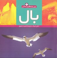 تصویر  بال / ببين و مقايسه كن