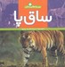 تصویر  ساق پا / ببين و مقايسه كن