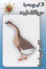 تصویر  حيوانات مزرعه / از كي بپرسم؟