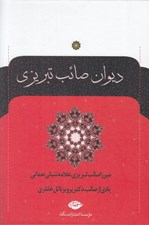 تصویر  ديوان صائب تبريزي 1 (دوره 2 جلدي)