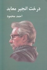 تصویر  درخت انجير معابد 1 (دوره 2 جلدي)