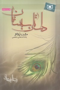 تصویر  داستان سيستان (10 روز با ره بر - يادداشت هاي شخصي)