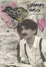 تصویر  دو مرغابي در مه