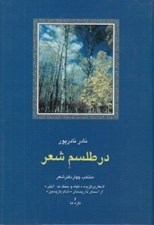 تصویر  در طلسم شعر (منتخب چهار دفتر شعر) / شعر معاصر ايران 13