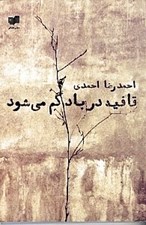 تصویر  قافيه در باد گم مي‌شود (مجموعه شعر)
