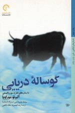 تصویر  گوساله دريايي