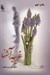 تصویر  غريبه آشنا