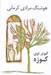 تصویر  كبوتر توي كوزه