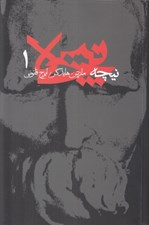 تصویر  نيچه 1