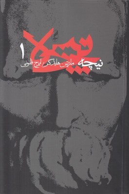 تصویر  نيچه 1