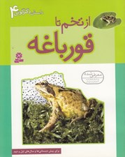 تصویر  از تخم تا قورباغه / داستان دگرگوني 4