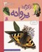 تصویر  از كرم تا پروانه / داستان دگرگوني 3