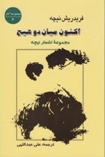 تصویر  اكنون ميان دو هيچ (مجموعه اشعار نيچه)