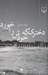 تصویر  دختري كه خودش را خورد
