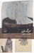 تصویر  مرگ نور