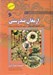 تصویر  ارمغان تندرستي / در جستجوي سلامتي 2