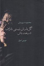 تصویر  اگر باران نيستي نازنين درخت باش