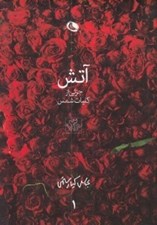 تصویر  آتش در باد 1 (جزئي از كليات شمس) / دوره 2 جلدي