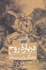 تصویر  درباره روح (هايدگر و اين مسئله)