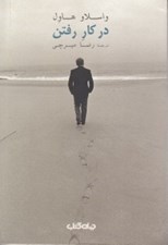 تصویر  در كار رفتن