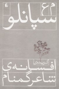 تصویر  گزيده افسانه شاعر گمنام (مجموعه شعر)