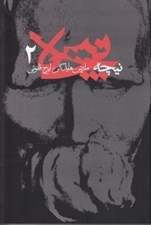 تصویر  نيچه 2