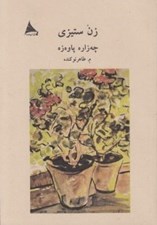تصویر  زن ستيزي