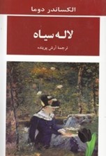 تصویر  لاله سياه