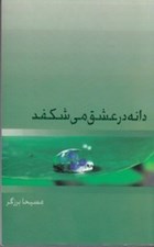 تصویر  دانه در عشق مي شكفد