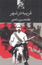 تصویر  غريبه در شهر