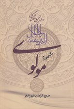 تصویر  رساله در تحقيق احوال و زندگاني مولانا جلال الدين محمد مشهور به مولوي