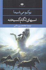 تصویر  اسب هاي لگام گسيخته