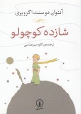 تصویر  شازده كوچولو