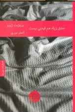 تصویر  عشق زياد هم قيمتي نيست (مجموعه داستان)