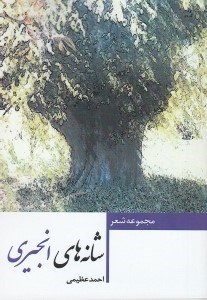 تصویر  شانه هاي انجيري