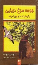 تصویر  جوجه مرغ دريايي و گربه اي كه به او پرواز آموخت