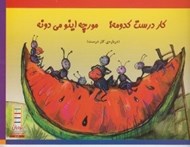 تصویر  كار درست كدومه؟ مورچه اينو مي دونه (درباره ي كار درست)