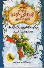 تصویر  چگونه از نفرين يك اژدها نجات پيدا كنيد / چگونه اژدهاي خود را تربيت كنيد 4