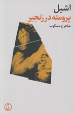 تصویر  پرومته در زنجير