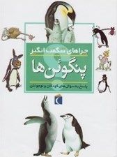 تصویر  پنگوئن ها / چراهاي شگفت انگيز