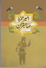 تصویر  اميرحمزه صاحبقران / مجموعه ادبيات عامه 8