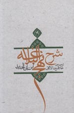 تصویر  شرح نهج البلاغه ابن‌ ابي‌ الحديد 19