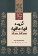 تصویر  گزيده فيه ما فيه (مقالات مولانا)