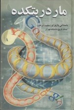 تصویر  مار در بتكده