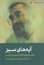 تصویر  آيه هاي سبز (داستان ها و نكات تربيتي از آثار استاد علي صفايي حائري) / نظام تربيتي و معرفتي 6