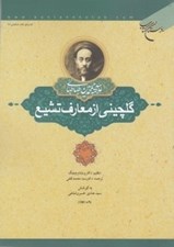 تصویر  گلچيني از معارف تشيع