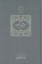 تصویر  درويش ستيهنده (از ميراث عرفاني شيخ جام)