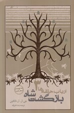 تصویر  بازگشت شاه / ارباب حلقه ها 3 (شوميز)
